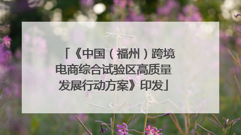 《中国（福州）跨境电商综合试验区高质量发展行动方案》印发