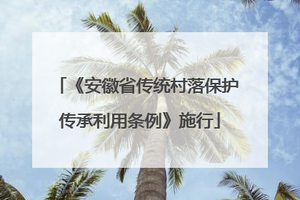 《安徽省传统村落保护传承利用条例》施行