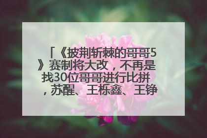 《披荆斩棘的哥哥5》赛制将大改，不再是找30位哥哥进行比拼，苏醒、王栎鑫、王铮亮、张远等多名男团选手被曝将参加