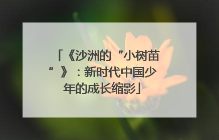 《沙洲的“小树苗”》：新时代中国少年的成长缩影