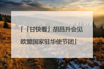 「甘快看」胡昌升会见欧盟国家驻华使节团