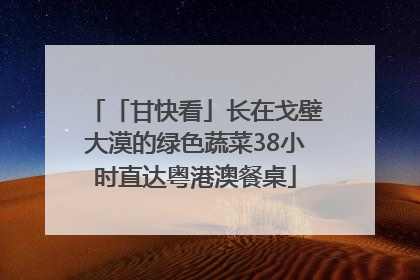 「甘快看」长在戈壁大漠的绿色蔬菜38小时直达粤港澳餐桌