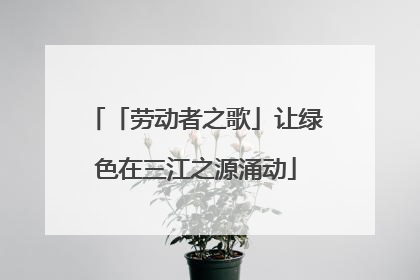 「劳动者之歌」让绿色在三江之源涌动