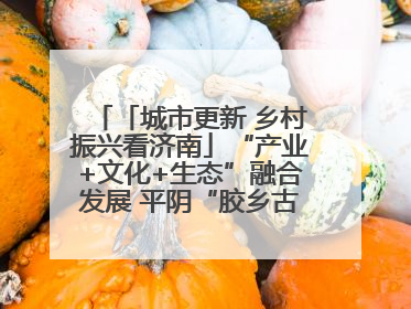 「城市更新 乡村振兴看济南」“产业+文化+生态”融合发展 平阴“胶乡古镇”探索振兴路径成效显著
