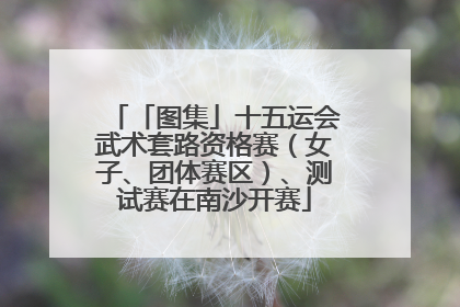 「图集」十五运会武术套路资格赛（女子、团体赛区）、测试赛在南沙开赛
