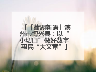 「蒲湖新语」滨州市博兴县：以“小切口”做好数字惠民“大文章”