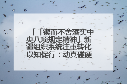 「锲而不舍落实中央八项规定精神」新疆组织系统注重转化以知促行：动真碰硬抓好整改整治
