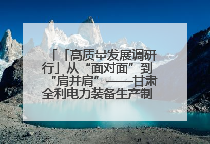 「高质量发展调研行」从“面对面”到“肩并肩”——甘肃全利电力装备生产制造项目一线见闻