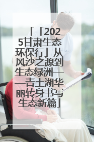 「2025甘肃生态环保行」从风沙之源到生态绿洲——青土湖华丽转身书写生态新篇