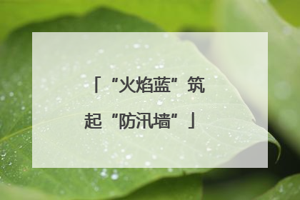 “火焰蓝”筑起“防汛墙”