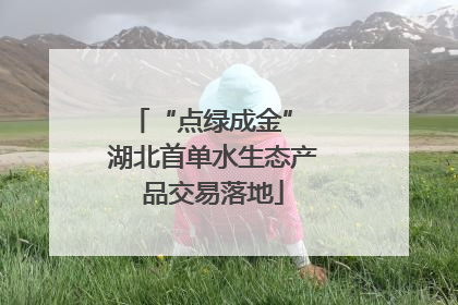 “点绿成金” 湖北首单水生态产品交易落地
