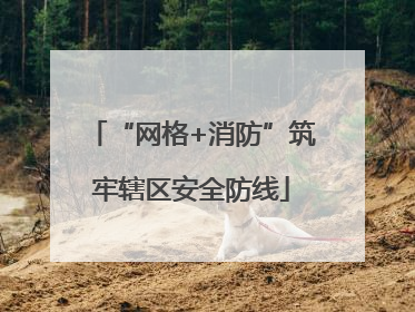 “网格+消防”筑牢辖区安全防线