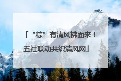 “粽”有清风拂面来！五社联动共织清风网