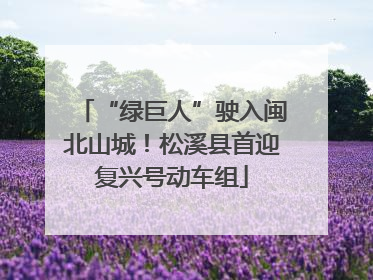 “绿巨人”驶入闽北山城！松溪县首迎复兴号动车组
