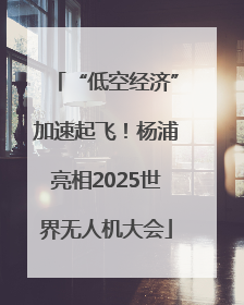 “低空经济”加速起飞！杨浦亮相2025世界无人机大会