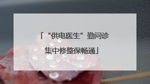 “供电医生”勤问诊 集中修整保畅通
