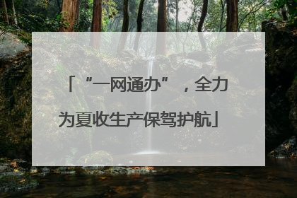 “一网通办”，全力为夏收生产保驾护航