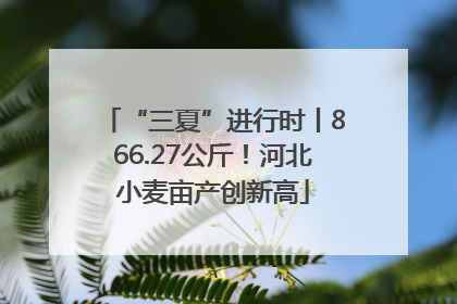 “三夏”进行时丨866.27公斤！河北小麦亩产创新高