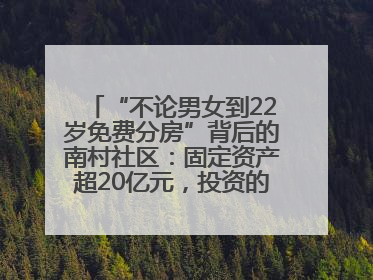 “不论男女到22岁免费分房”背后的南村社区：固定资产超20亿元，投资的影视基地被称为“山村好莱坞”