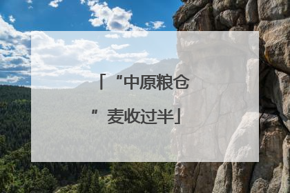 “中原粮仓”麦收过半