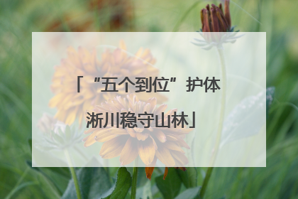 “五个到位”护体 淅川稳守山林