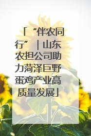 “伴农同行”｜山东农担公司助力菏泽巨野蛋鸡产业高质量发展