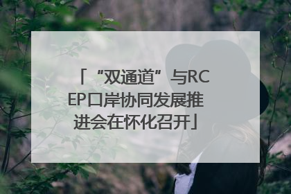 “双通道”与RCEP口岸协同发展推进会在怀化召开