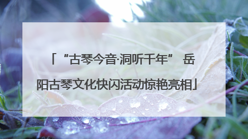 “古琴今音·洞听千年” 岳阳古琴文化快闪活动惊艳亮相