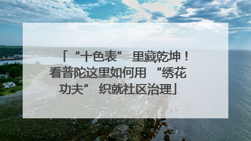 “十色表” 里藏乾坤！看普陀这里如何用 “绣花功夫” 织就社区治理