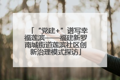 “党建+”谱写幸福莲滨——福建新罗南城街道莲滨社区创新治理模式探访