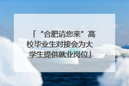 “合肥请您来”高校毕业生对接会为大学生提供就业岗位