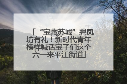 “宝藏苏城”碧凤坊有礼！新时代青年榜样喊话宝子们这个六一来平江街道