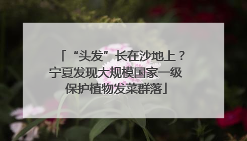 “头发”长在沙地上？宁夏发现大规模国家一级保护植物发菜群落
