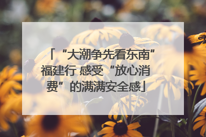 “大潮争先看东南”福建行 感受“放心消费”的满满安全感