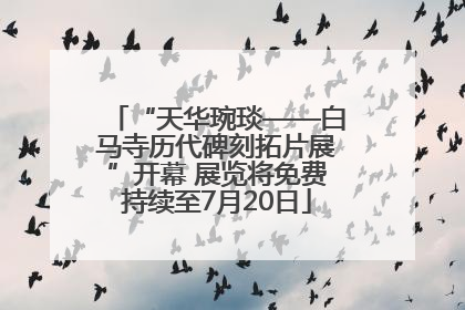 “天华琬琰——白马寺历代碑刻拓片展”开幕 展览将免费持续至7月20日