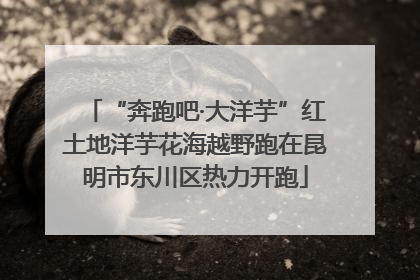 “奔跑吧·大洋芋”红土地洋芋花海越野跑在昆明市东川区热力开跑
