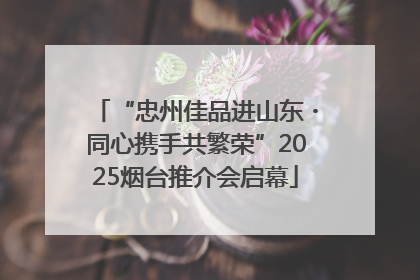 “忠州佳品进山东・同心携手共繁荣”2025烟台推介会启幕