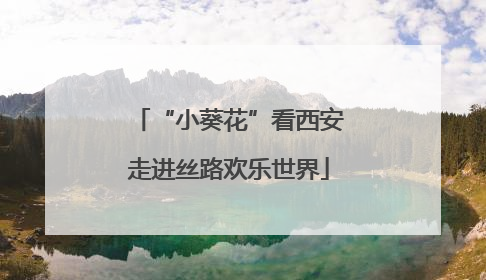 “小葵花”看西安走进丝路欢乐世界