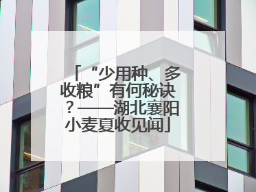 “少用种、多收粮”有何秘诀？——湖北襄阳小麦夏收见闻