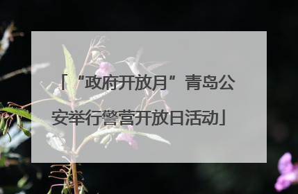 “政府开放月”青岛公安举行警营开放日活动