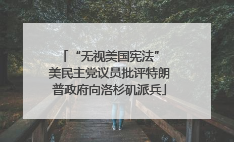 “无视美国宪法” 美民主党议员批评特朗普政府向洛杉矶派兵