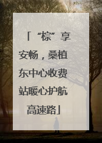 “棕”享安畅，桑植东中心收费站暖心护航高速路