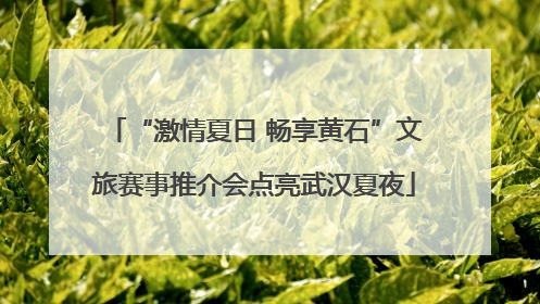 “激情夏日 畅享黄石”文旅赛事推介会点亮武汉夏夜