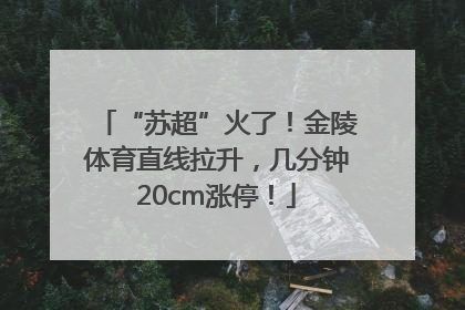 “苏超”火了！金陵体育直线拉升，几分钟20cm涨停！