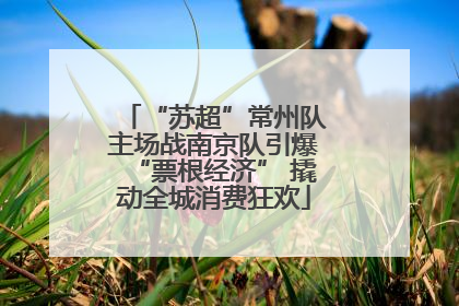“苏超”常州队主场战南京队引爆“票根经济” 撬动全城消费狂欢