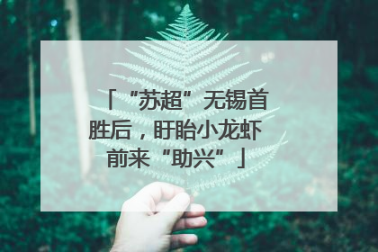 “苏超”无锡首胜后，盱眙小龙虾前来“助兴”