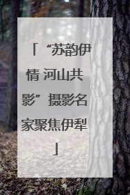“苏韵伊情 河山共影”摄影名家聚焦伊犁