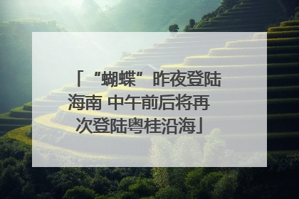 “蝴蝶”昨夜登陆海南 中午前后将再次登陆粤桂沿海