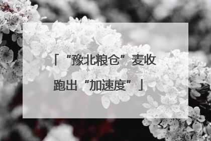 “豫北粮仓”麦收跑出“加速度”