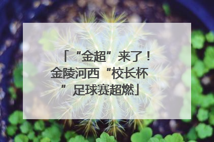 “金超”来了！金陵河西“校长杯”足球赛超燃